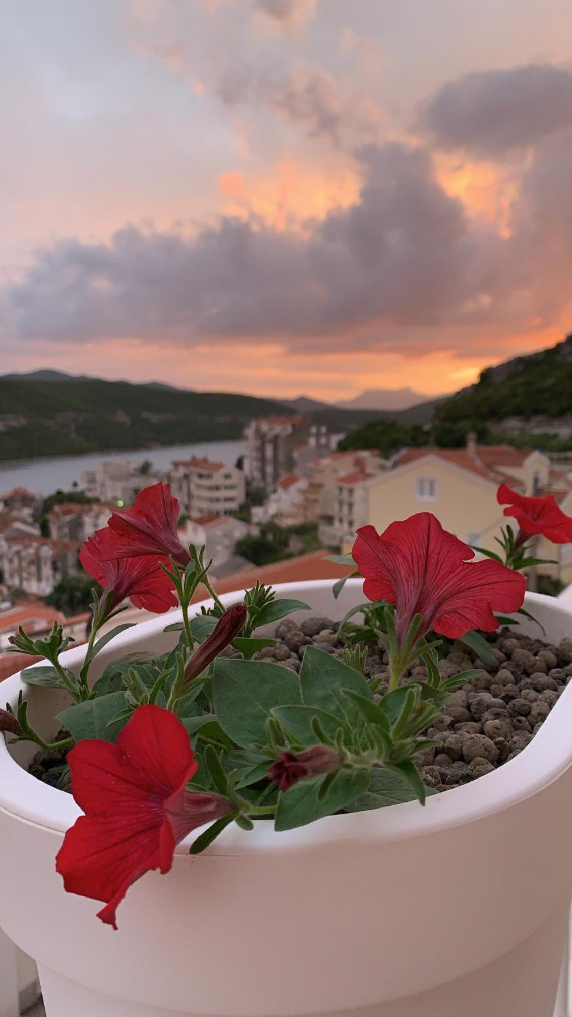 Hotel Ami - M Neum Exteriör bild